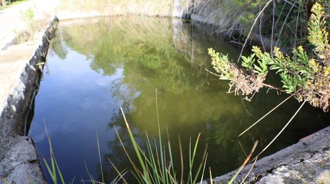 Photo 3 of Houses for sale in El Montmell, Tarragona