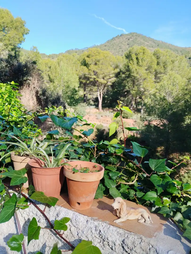 Villa mit Garten zum Verkauf in Montornés - Las Palmas - El Refugio, imagen 2