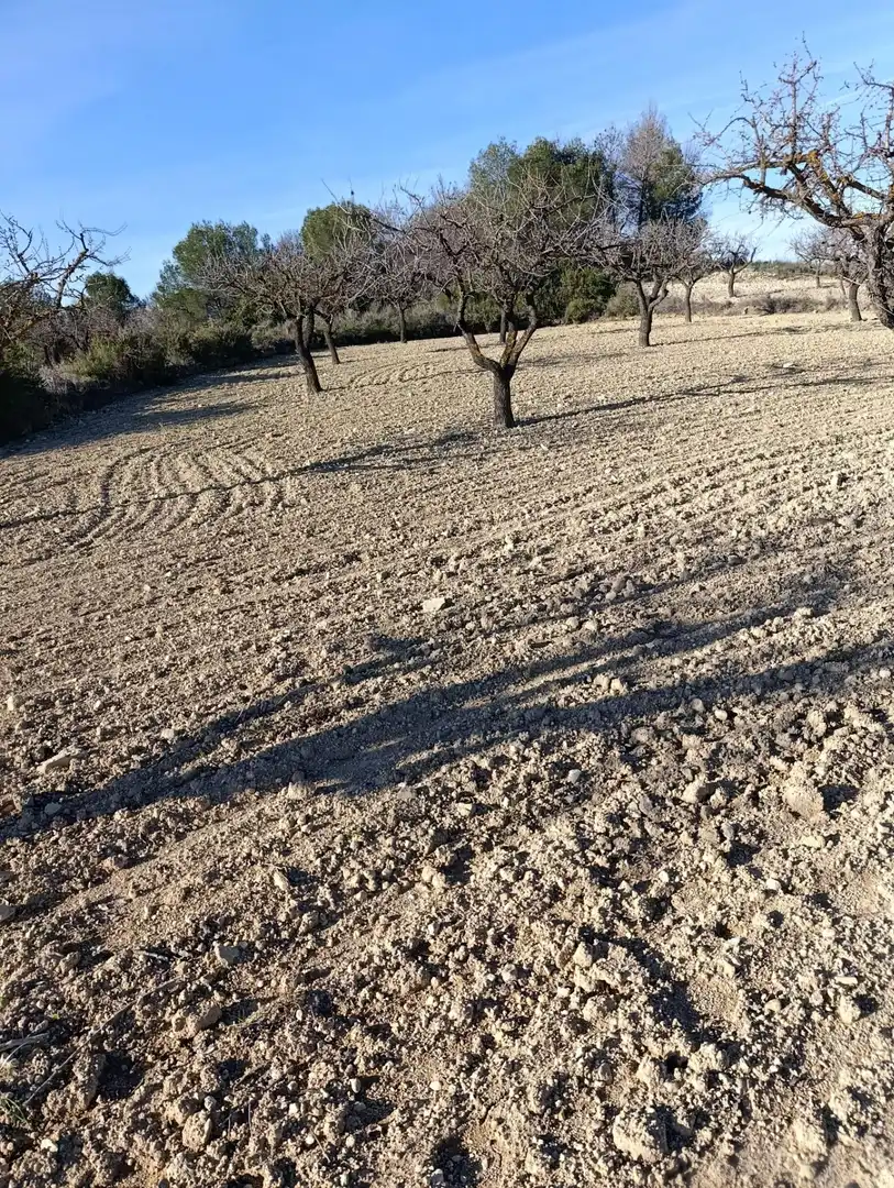 Terreny rústic en venda a Ribera de Molina - Torrealta, imagen 14