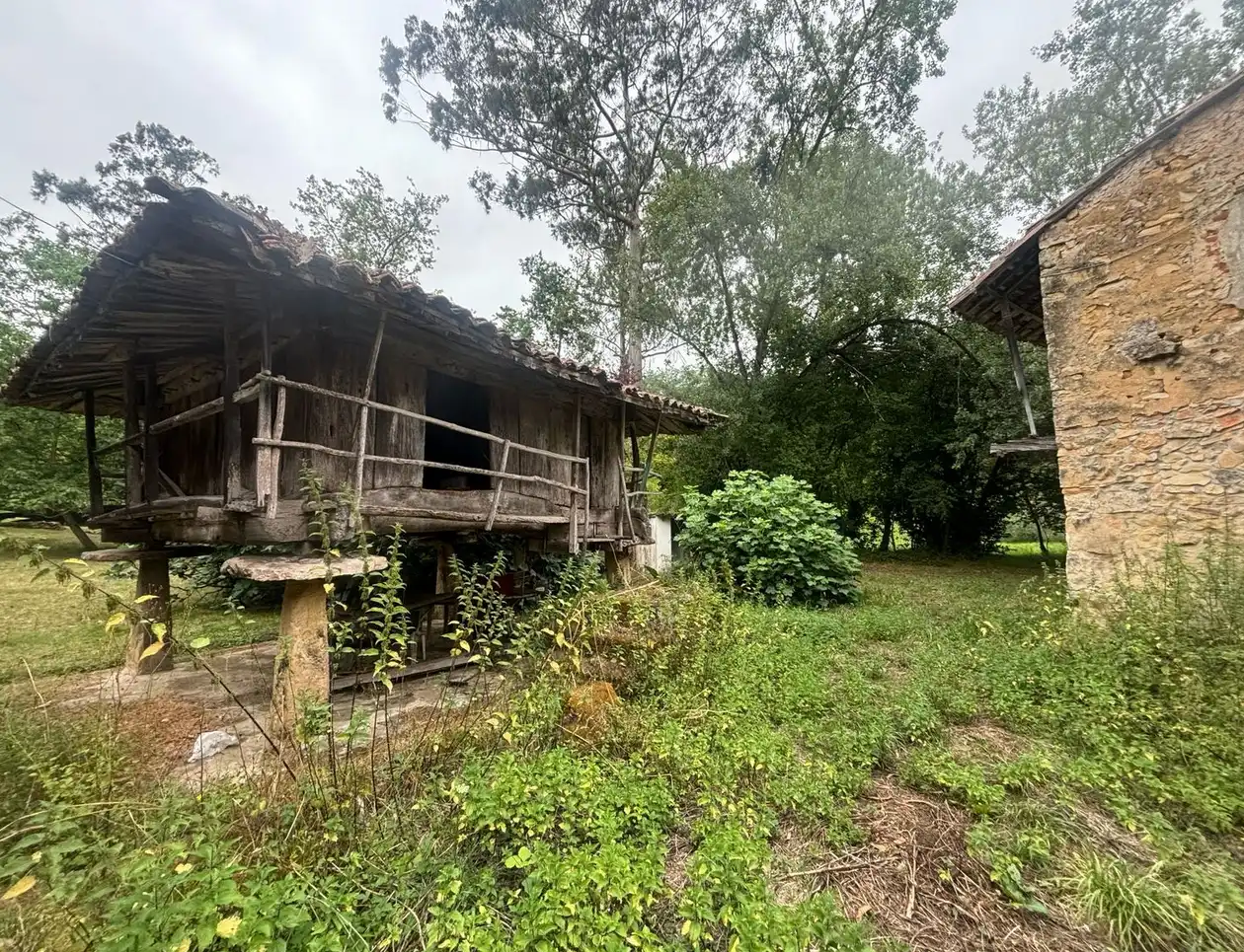 Vista exterior de Finca rústica en venda en Gijón  amb Jardí privat