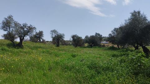 Photo 2 of Land for sale in Oliva de la Frontera, Badajoz