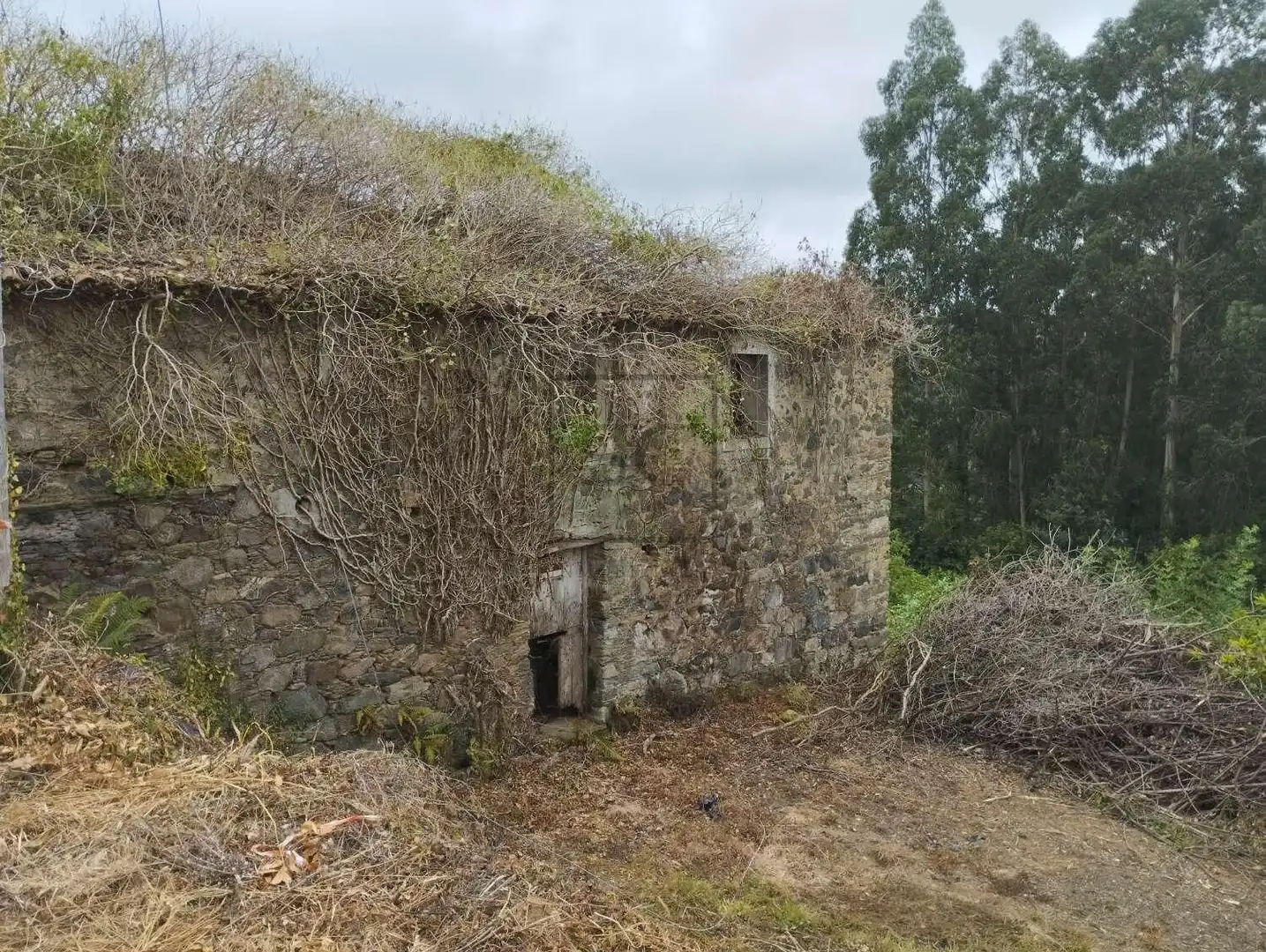 Vista exterior de Casa o xalet en venda en Cerdido amb Jardí privat