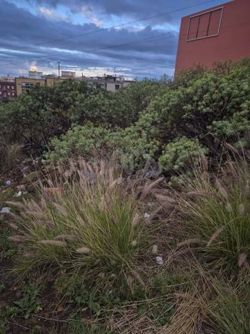 Terreno residencial en Venta en  Calle faisan 15, 15 en El Sobradillo