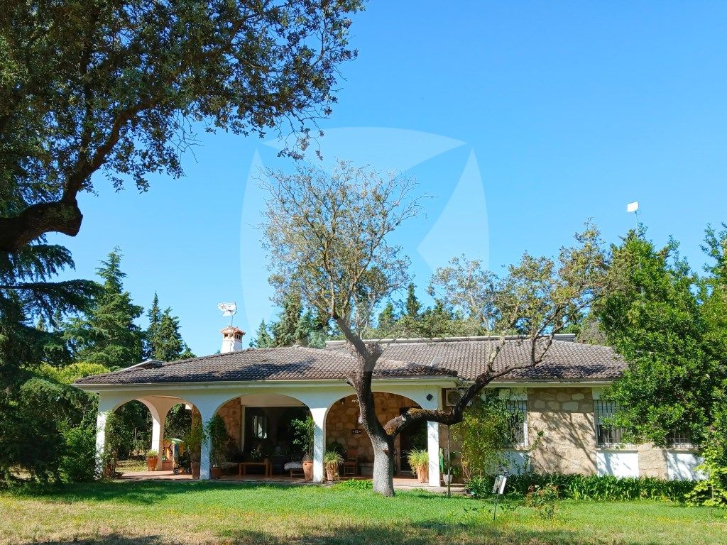 Jardí de Casa o xalet en venda en Badajoz Capital amb Aire condicionat, Jardí privat i Terrassa