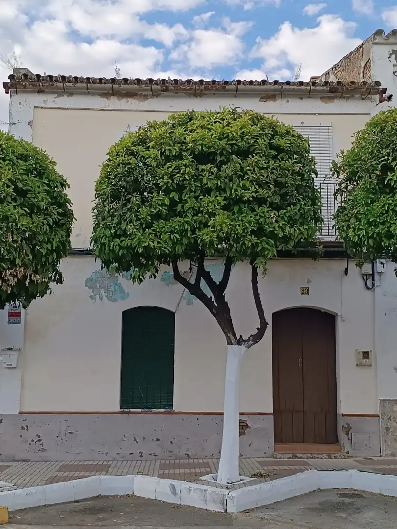 Casa adosada en venda a Plaza La Cruz, Ramal de Espartinas