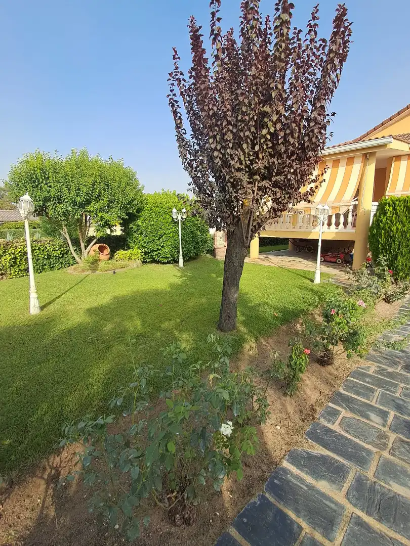Chalet con piscina en venta en Urbanización Gran Chaparral 2, imagen 16