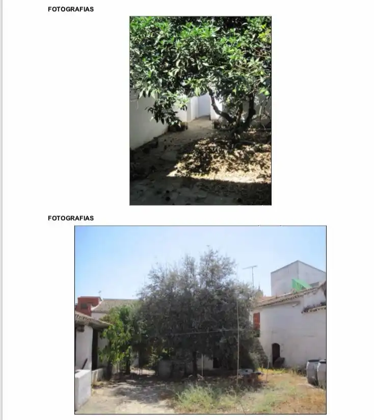 Terreny residencial en venda a Olivares, imagen 4