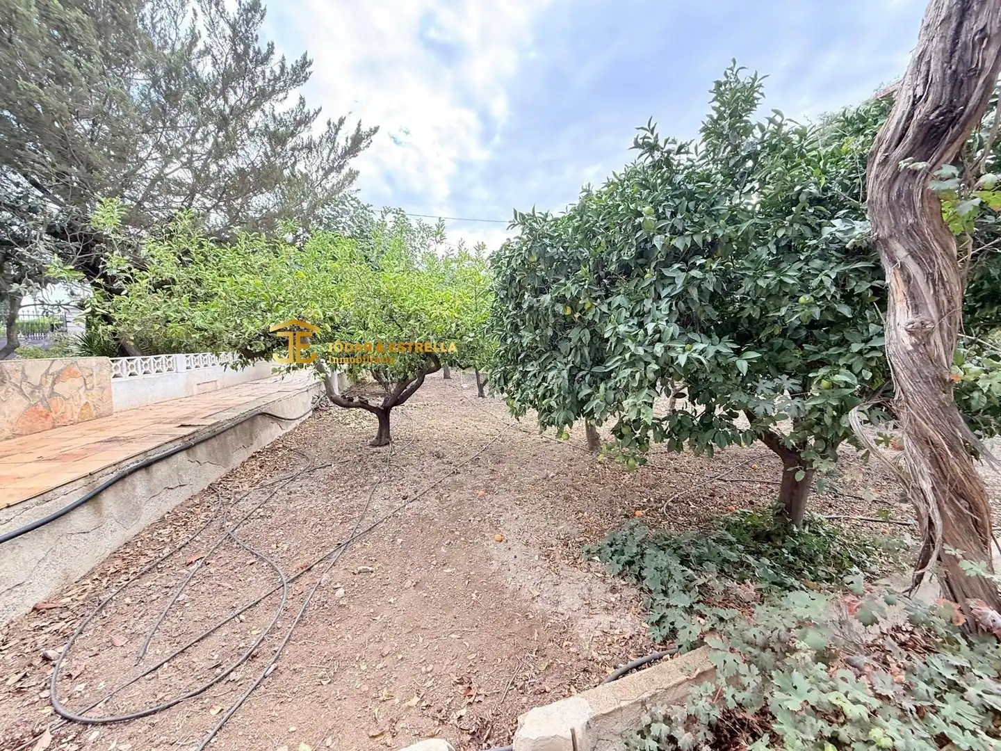 Detached house with terrace for sale in Pedanías Centro, imagen 54