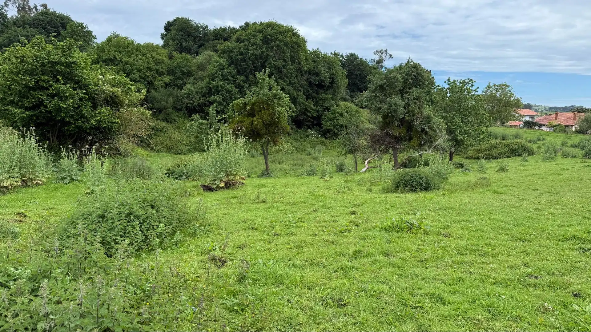 Residencial en venta en Reocín