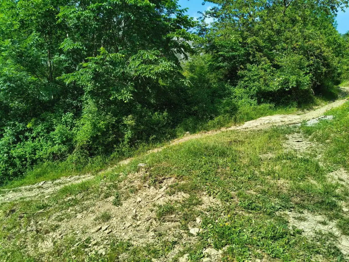Finca rústica en venta en Puértolas