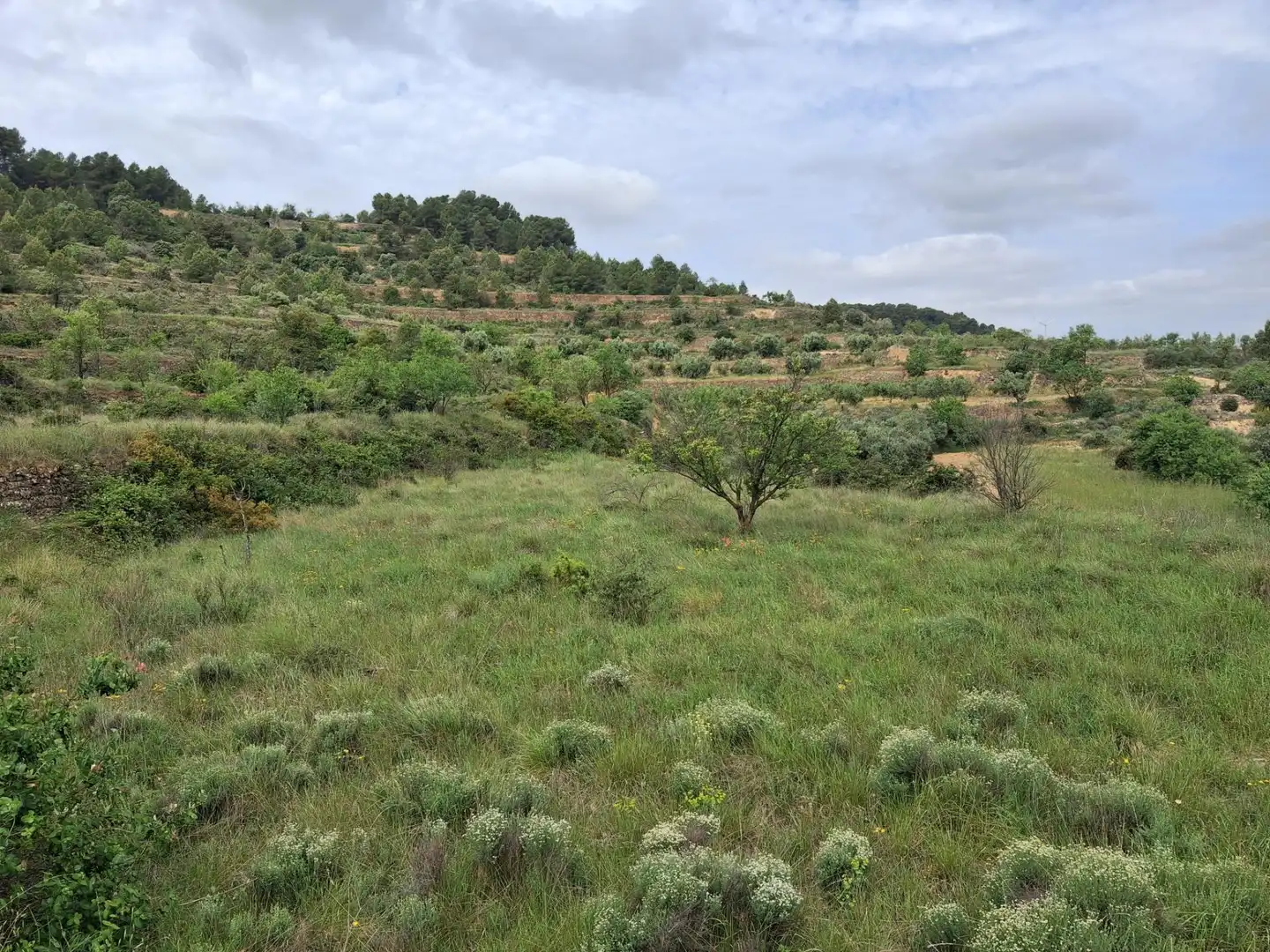 Rural land for sale in Gandesa, imagen 25