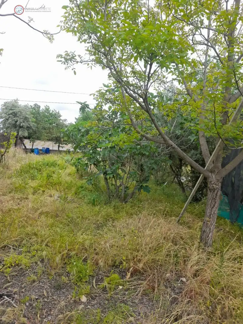 Terrenos y solares en venta en Pedanías - Extrarradio, imagen 3