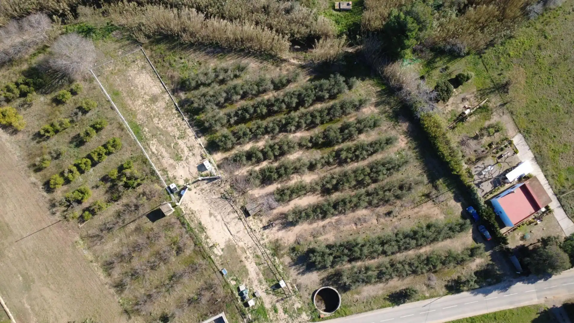 Lands and plots for sale in Carrer poligono 10, parcela 63, imagen 4