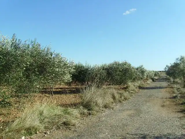 Land for sale in Vila-rodona