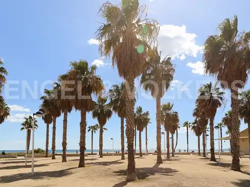 Vista exterior de Piso de alquiler en Alboraya con Aire acondicionado, Calefacción y Jardín privado