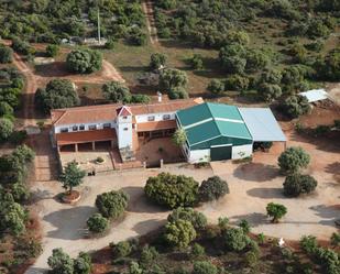 Vista exterior de Finca rústica en venda en Ossa de Montiel amb Aire condicionat, Calefacció i Jardí privat