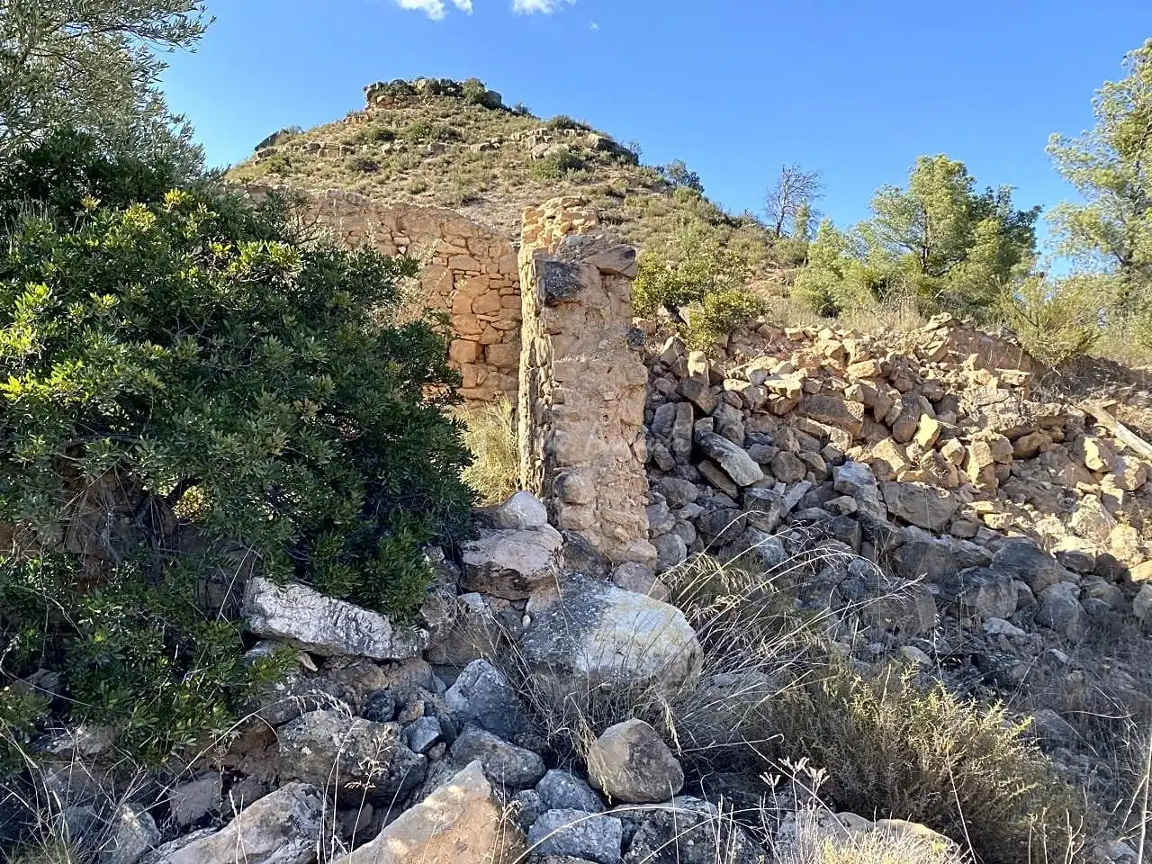 Terrain rustique à vendre à Partida Castellons, imagen 7