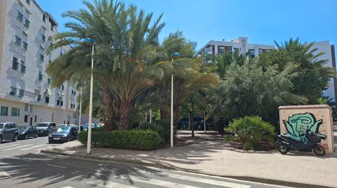 Photo 5 of Premises for sale in Padre Jaime - Los Cabos, Sagunto / Sagunt