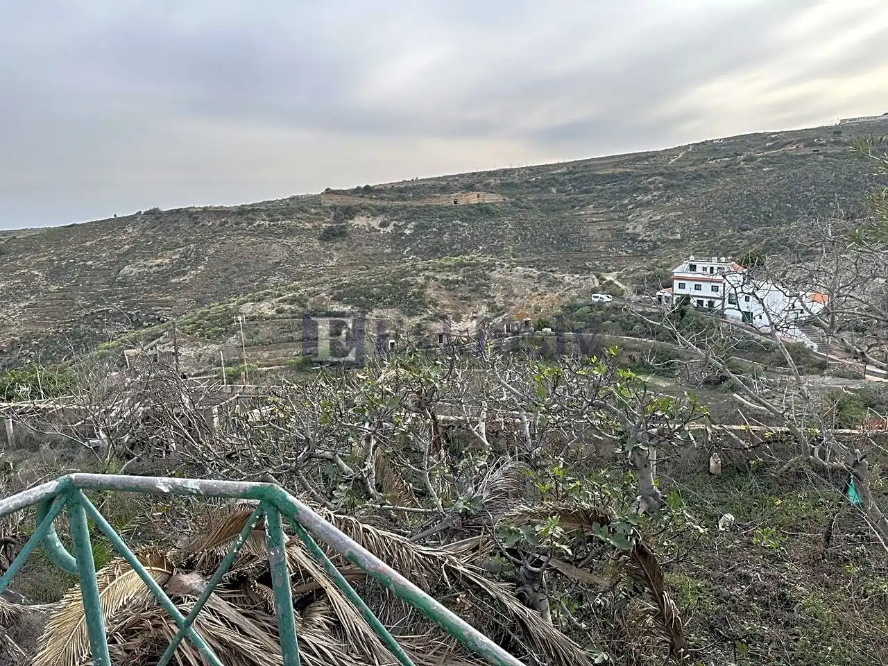 Finca rústica en venta en Arico