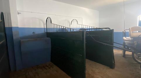 Foto 3 de Casa o chalet de alquiler en El Ajolí, El Rocío, Almonte