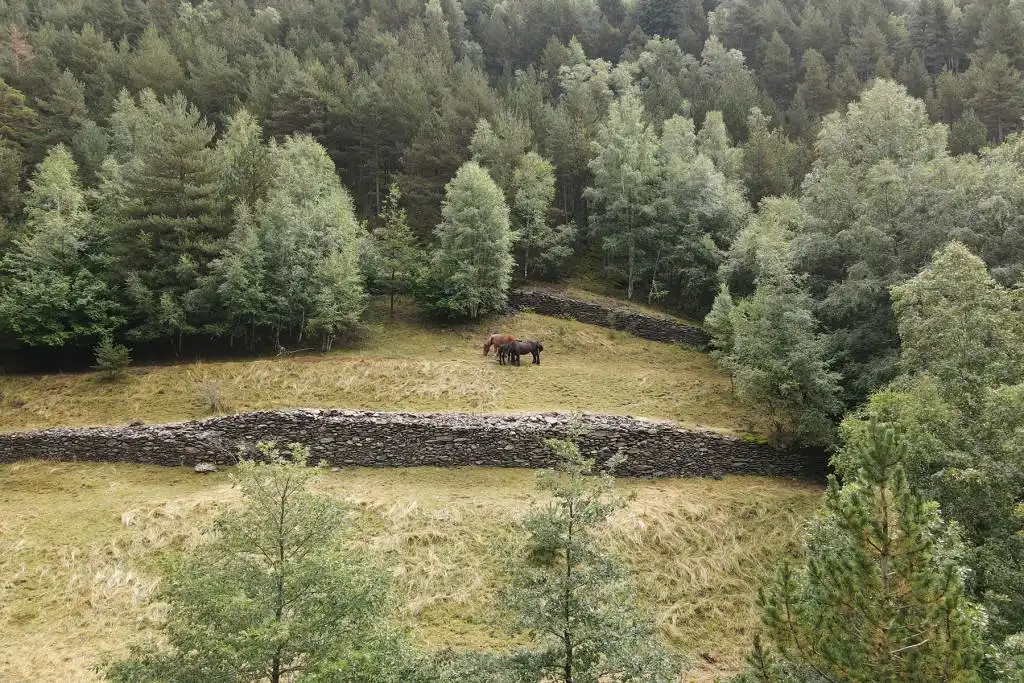 Terreno en venta en El Serrat -Llorts