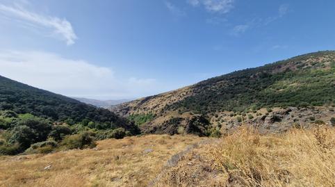 Foto 4 de Terreno en venta en Paterna del Río, Almería