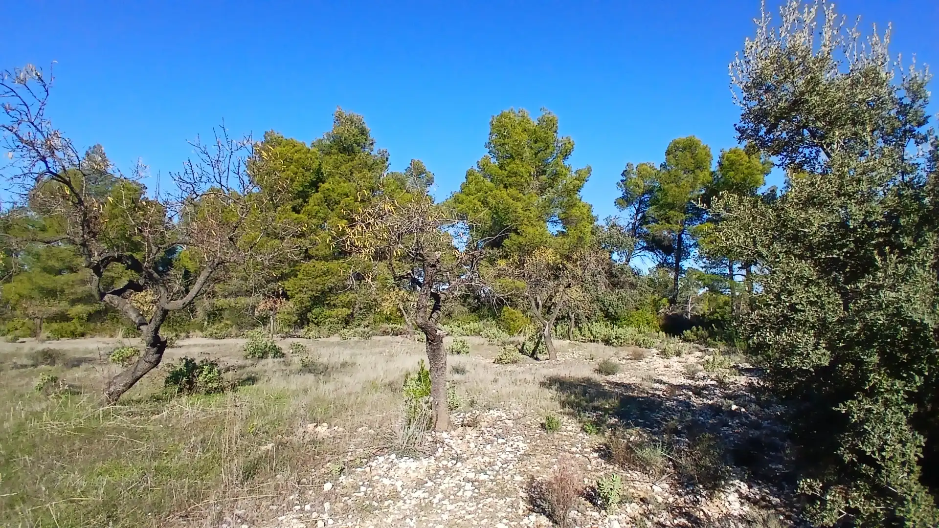 Terreno rustico in vendita a Calle Tremedal 13, imagen 6