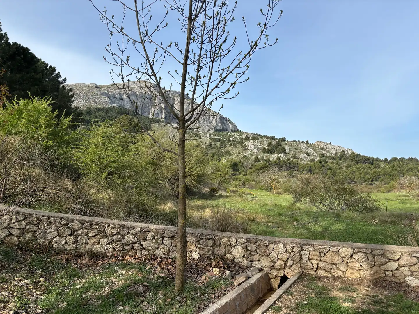 Finca rústica en venta en Confrides con Jardín privado
