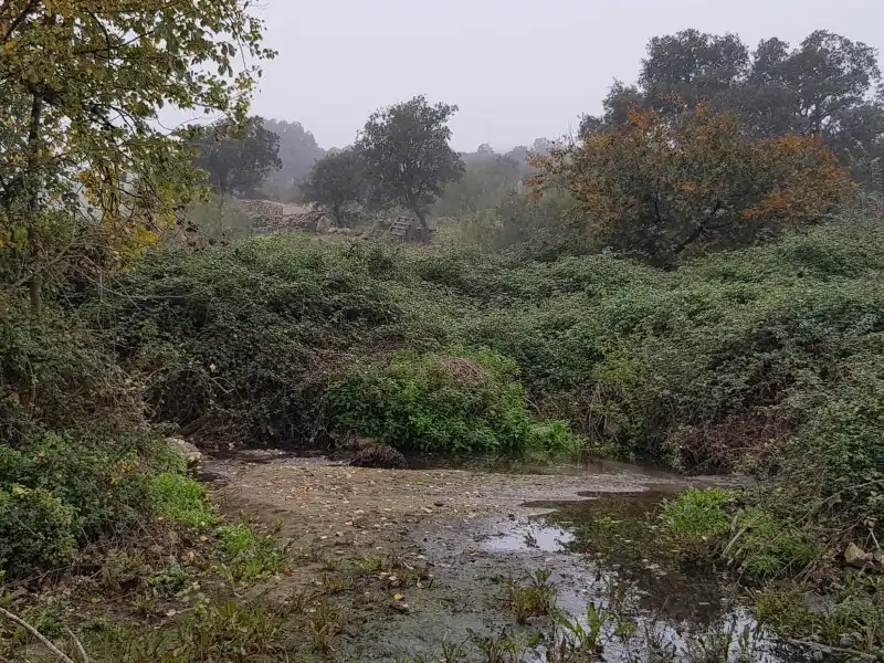 Terreni e lotti in vendita a Oliva de Plasencia, imagen 5