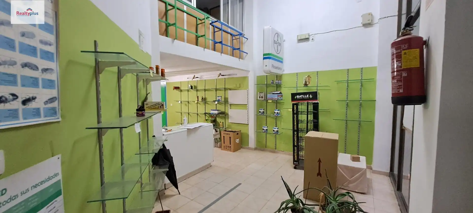 Gewerbefläche zur Miete in Centro, imagen 2