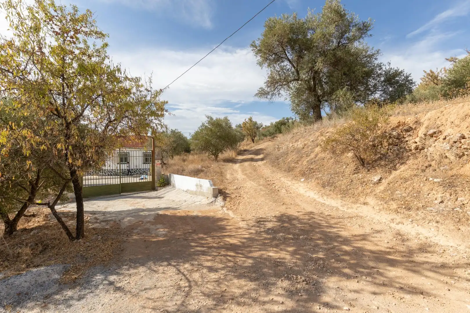 Vista exterior de Finca rústica en venta en Cogollos de la Vega con Jardín privado y Piscina