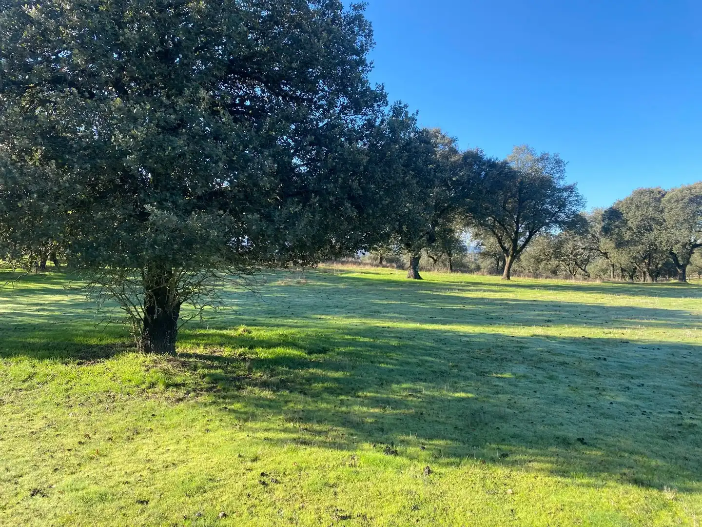 Finca rústica en venta en Buenaventura