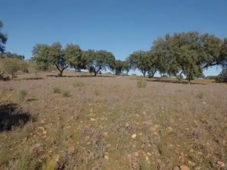 Residential land for sale in Fuente Obejuna, imagen 6