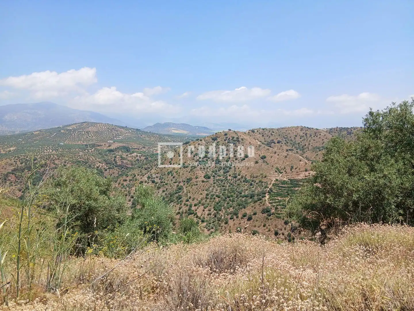 Terreno residencial en venta en Diseminado, imagen 14