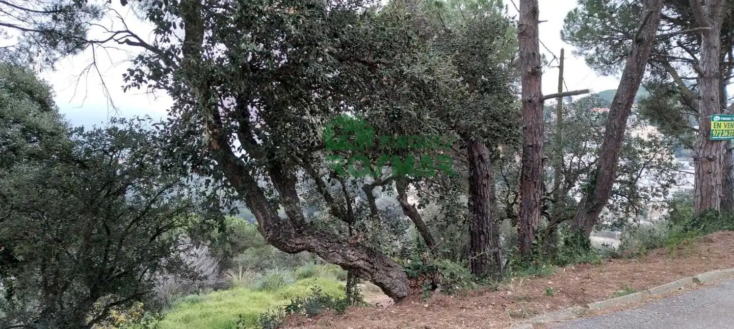Terrenos y solares en venta en Serra Brava, imagen 5