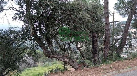 TERRENO EDIFICABLE DE 1.405 M EN SERRA BRAVA  LLORET DE MAR, imatge 5