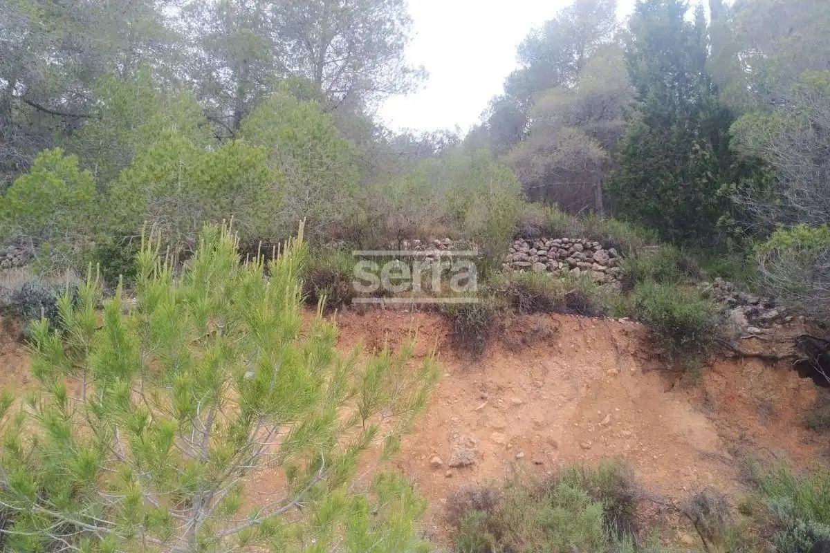 Land for sale in Torrelles de Foix