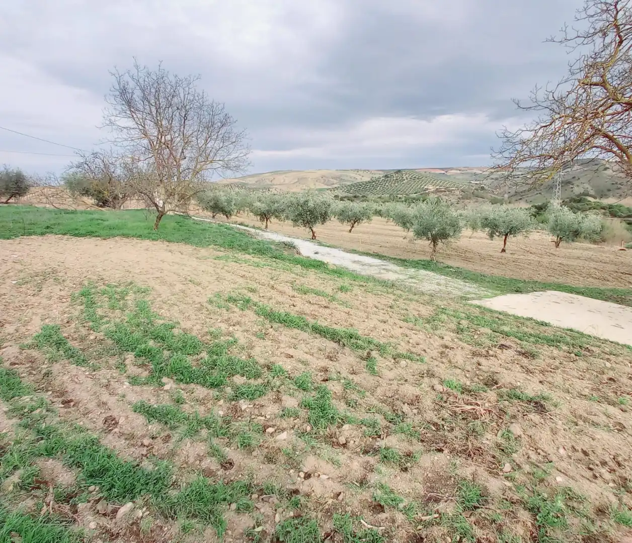 Terreni e lotti in vendita a Alhama de Granada, imagen 3