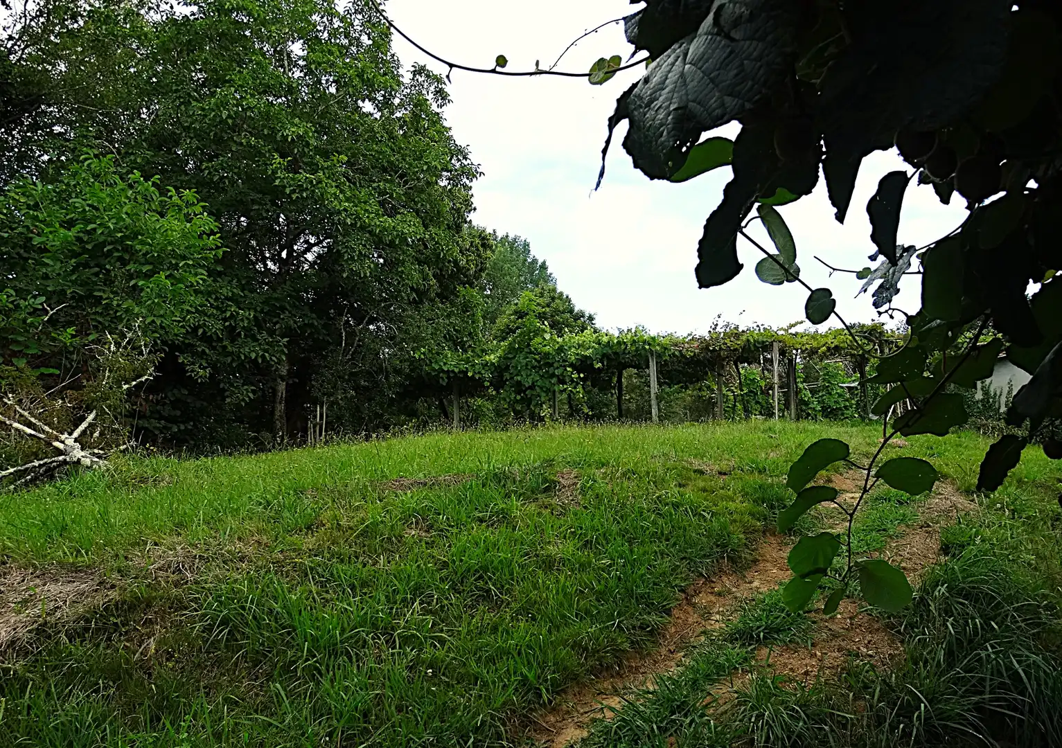 Finca rústica en venda en Narón amb Calefacció, Jardí privat i Parquet