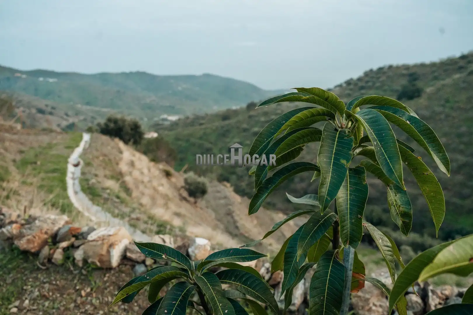 Finca rústica en venta en Moclinejo con Aire acondicionado, Calefacción y Jardín privado