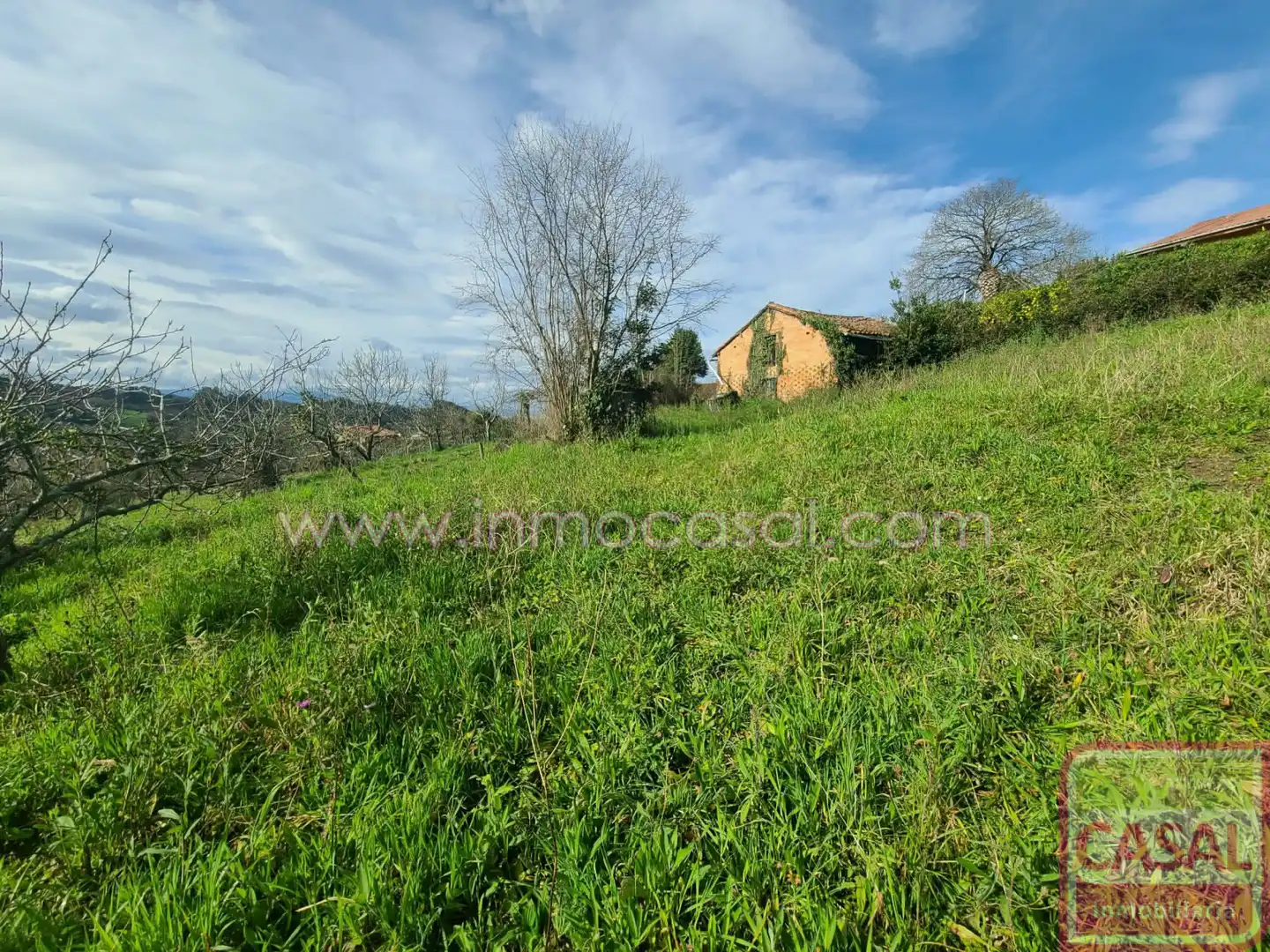Grundstücke und Bauplätze zum Verkauf in POLIGONO 51 PARCELA 134, EL PANIZAL, imagen 17