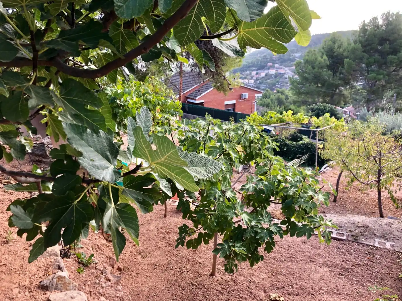 Wohnbaugrundstück zum Verkauf in Corbera de Llobregat, imagen 14