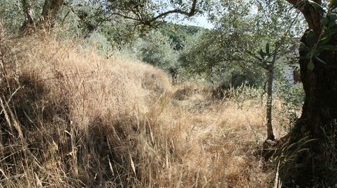 Foto 5 de Residencial en venda a Calle la Canal, 13, Guisando, Ávila
