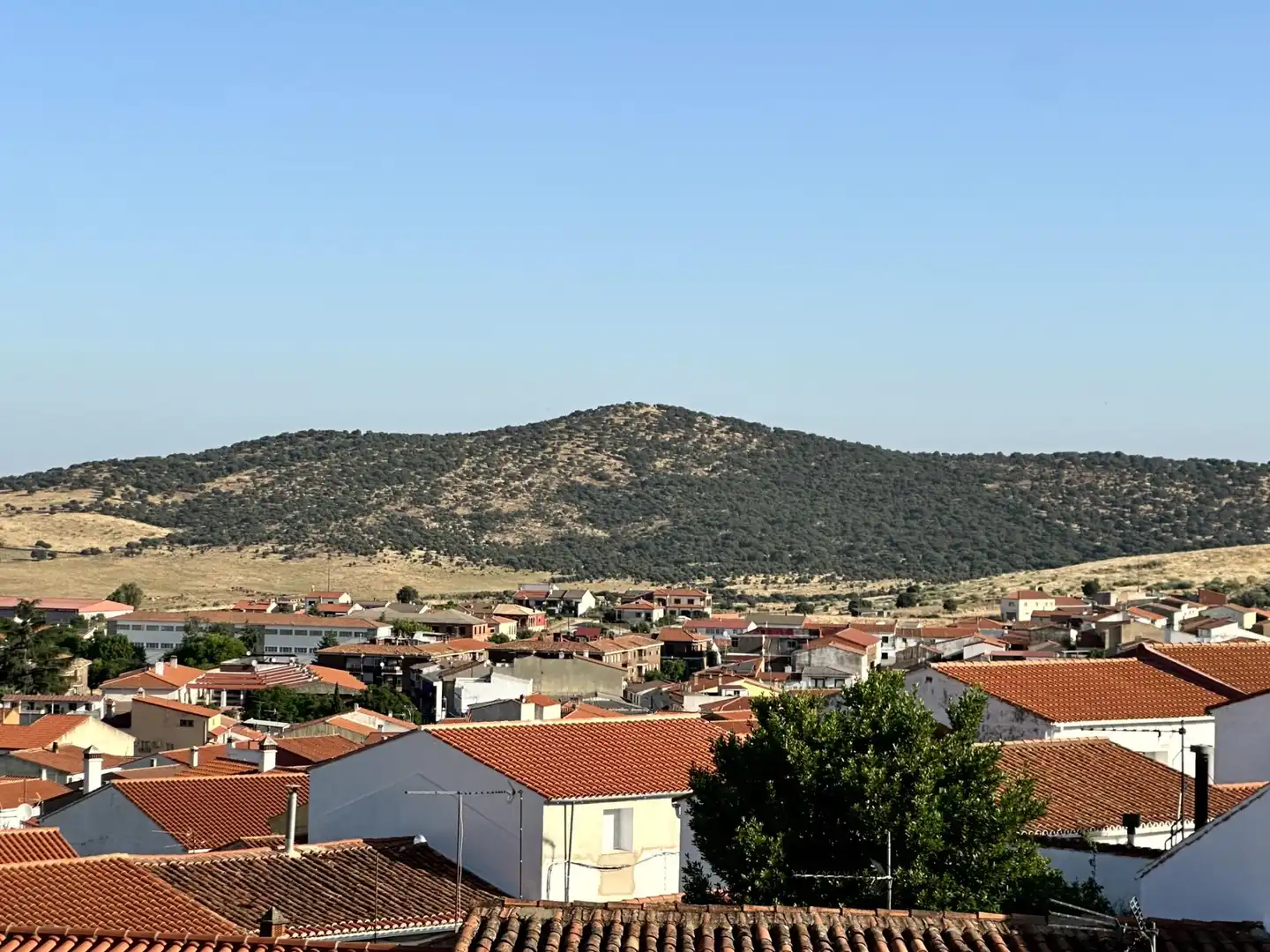 Vista exterior de Casa o chalet en venta en Madroñera
