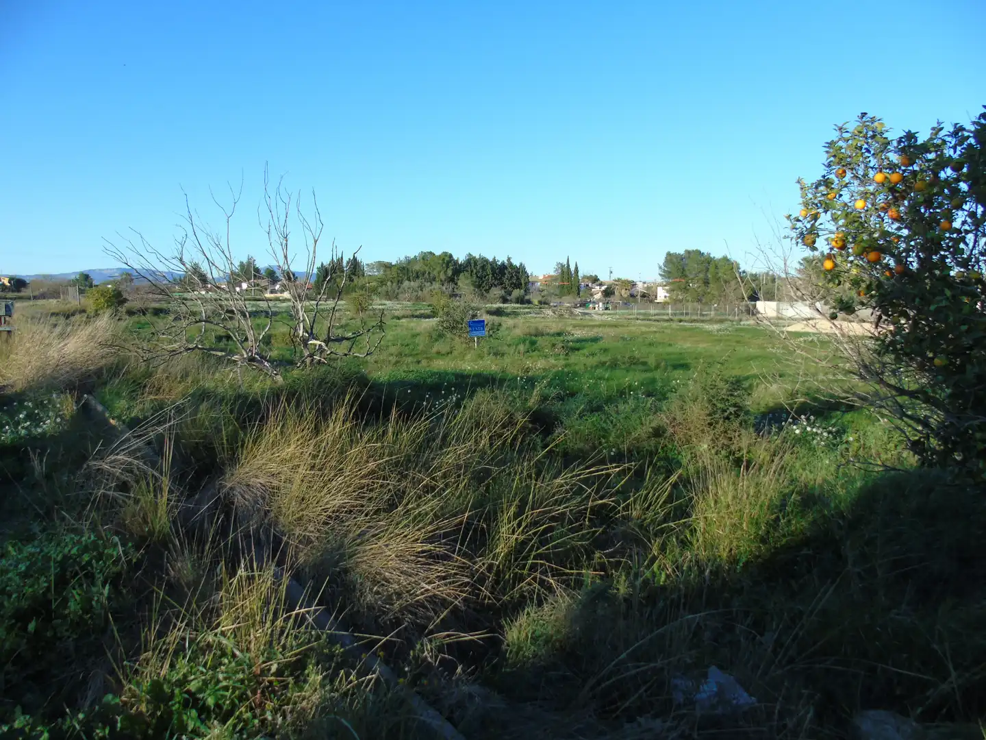 Terrenos y solares en venta en Camino Huerta De Abajo 70, imagen 9