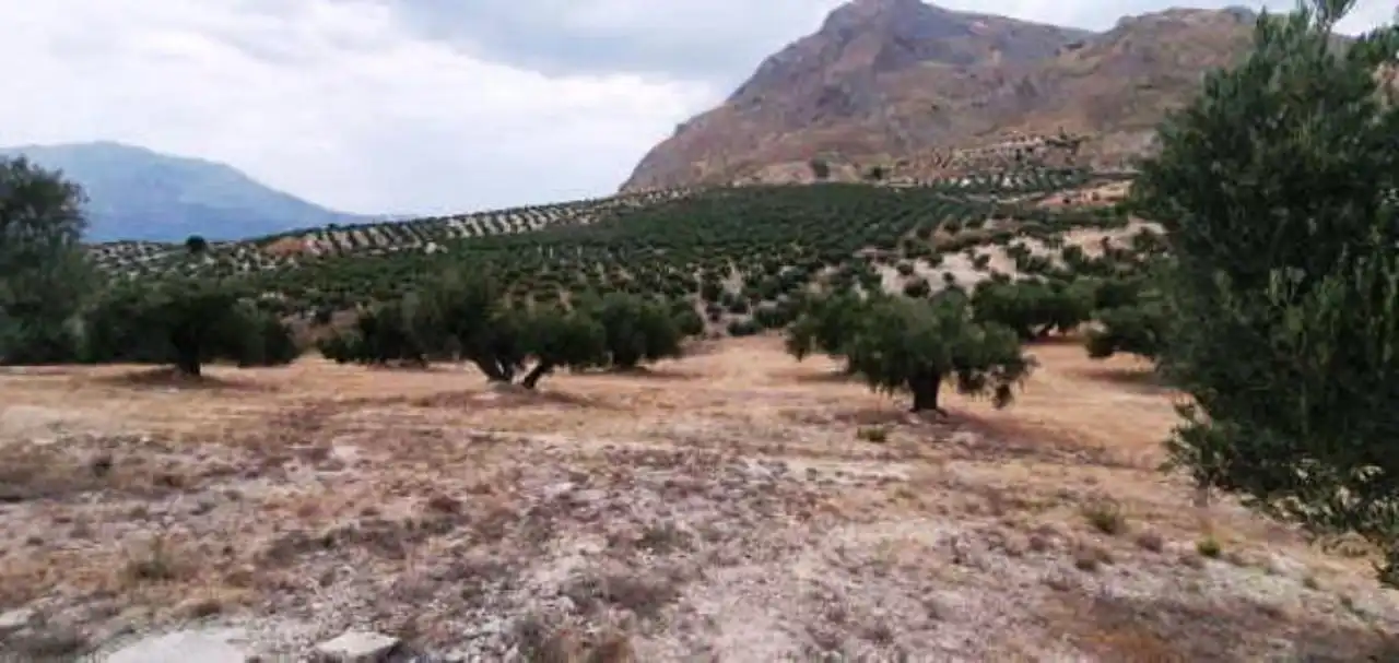 Rural land for sale in Bedmar y Garcíez