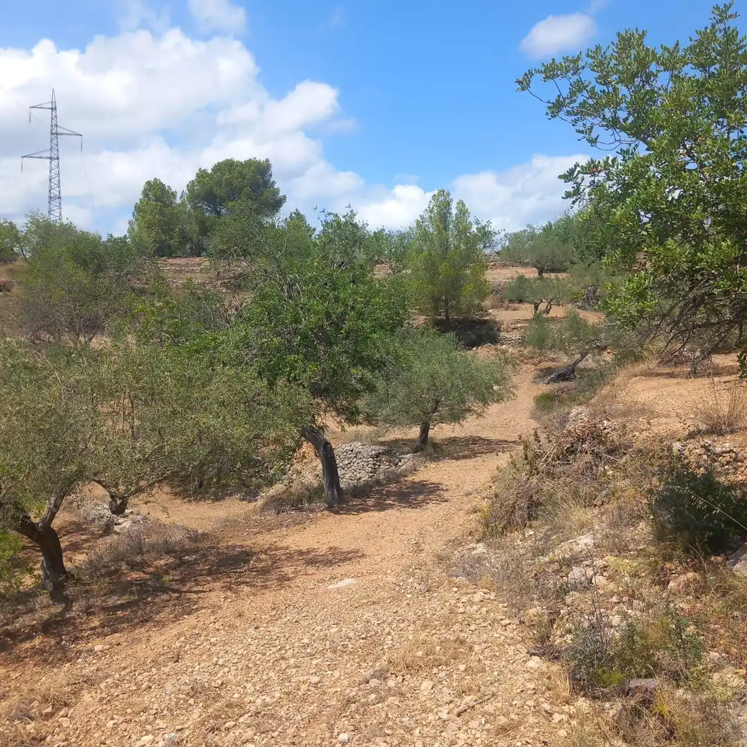 Terrain rustique à vendre à Bítem, imagen 5