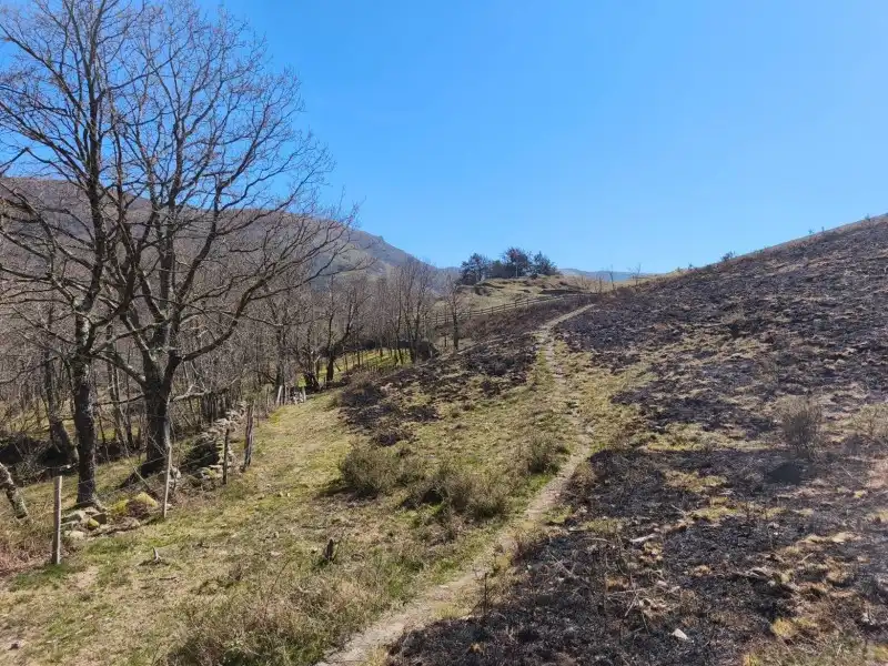 Terreni e lotti in vendita a Rionansa, imagen 32