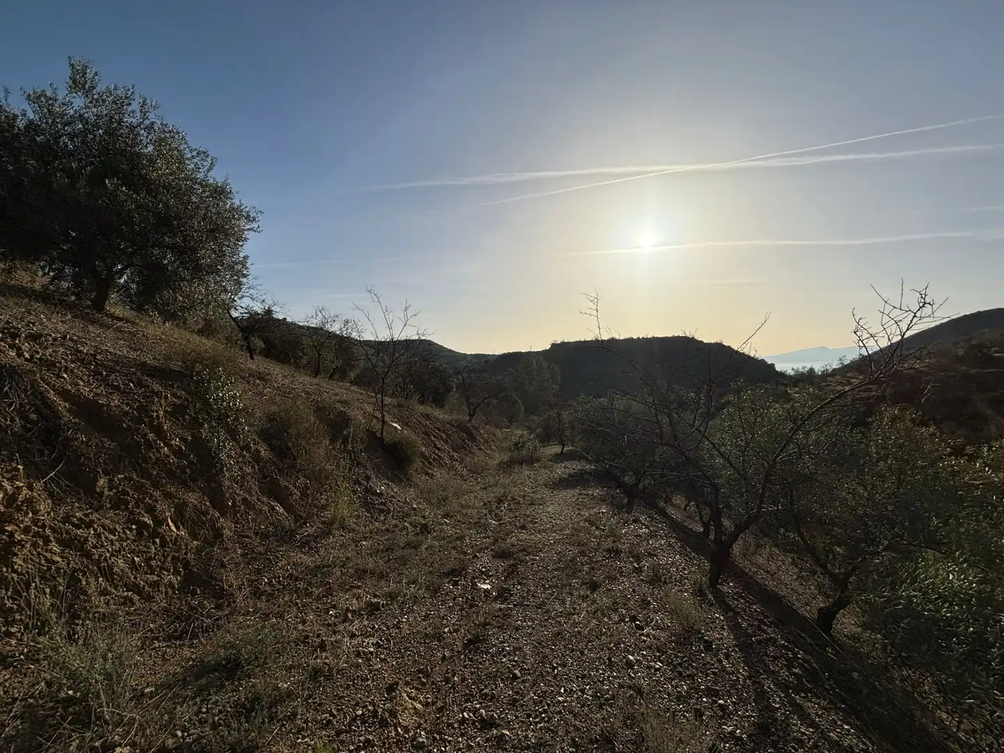 Terreno en venta en Cártama