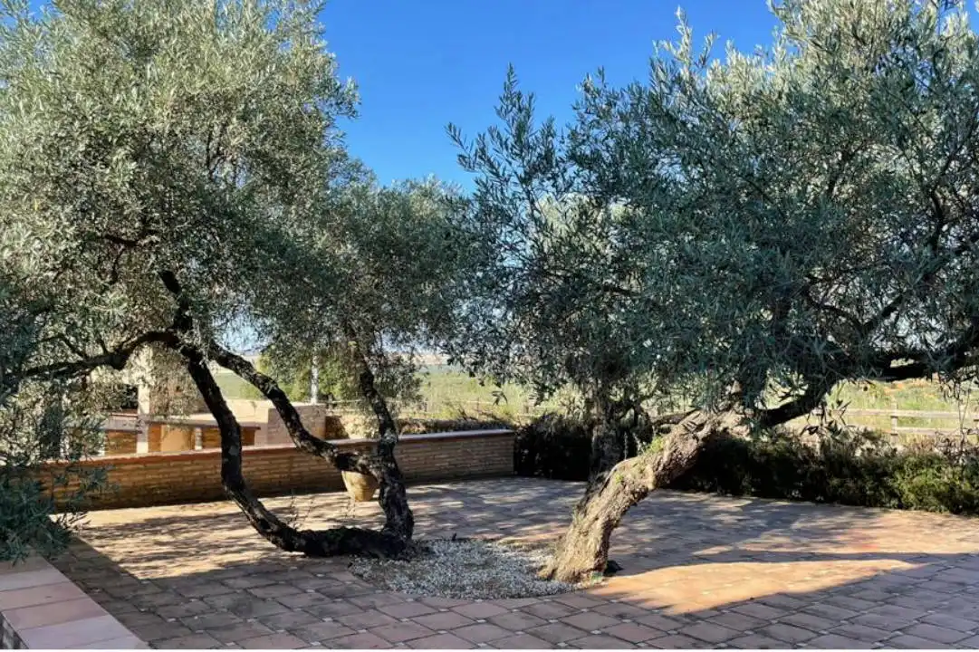 Terreno en venta en La Calzada - La Florida